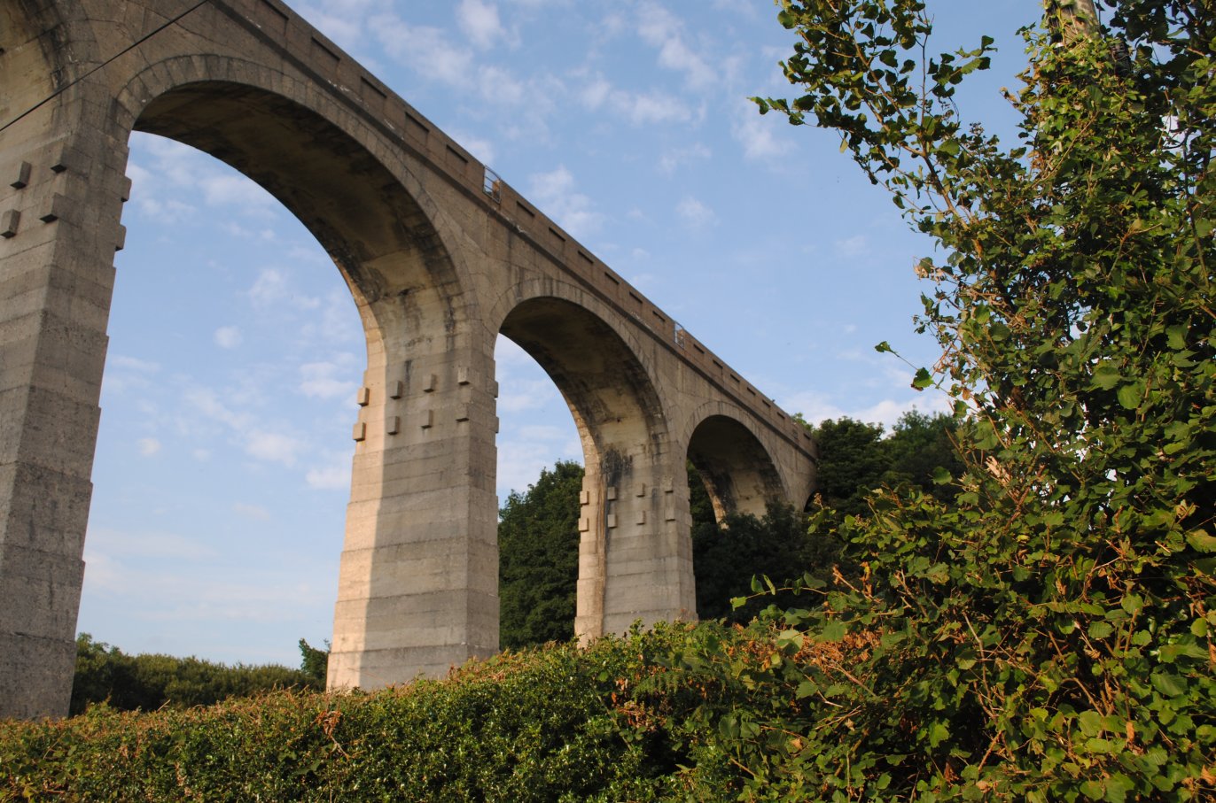 Cannington Viaduct Nr Lyme Regis ﻿ Archived nonweather Photography